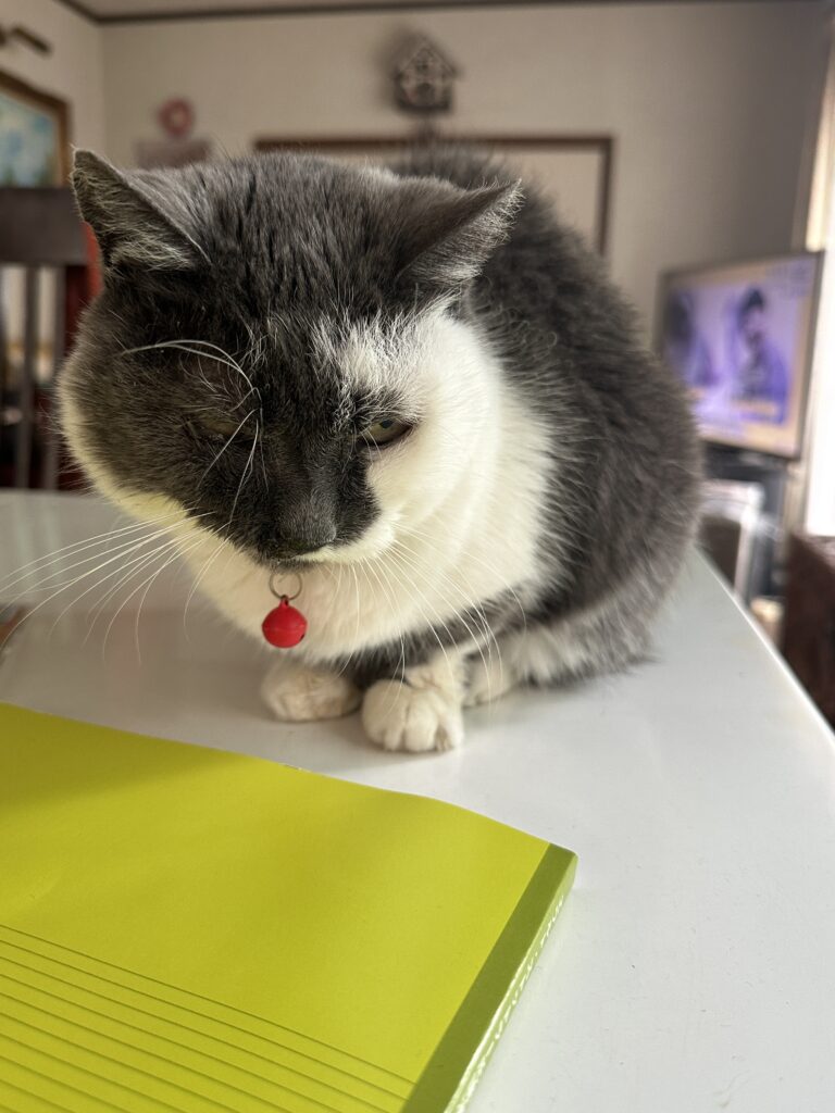 LalaMarjoram | アロマテラピー広島