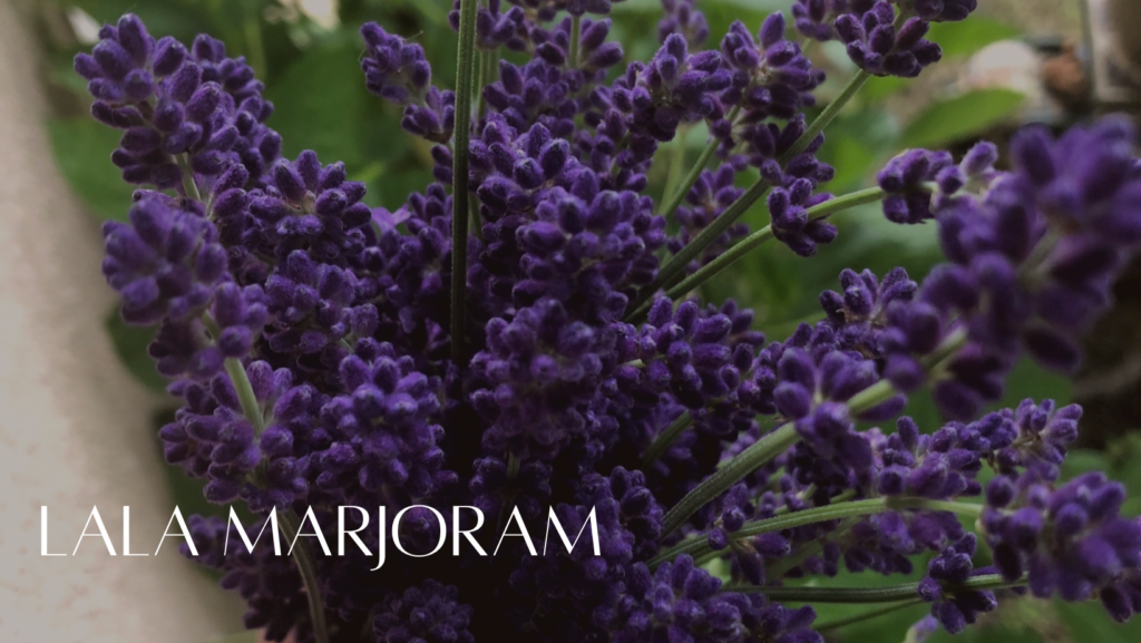 LalaMarjoram | アロマテラピー広島