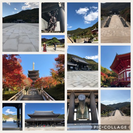 LalaMarjoram | アロマテラピー広島