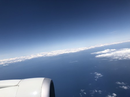 LalaMarjoram | アロマテラピー広島