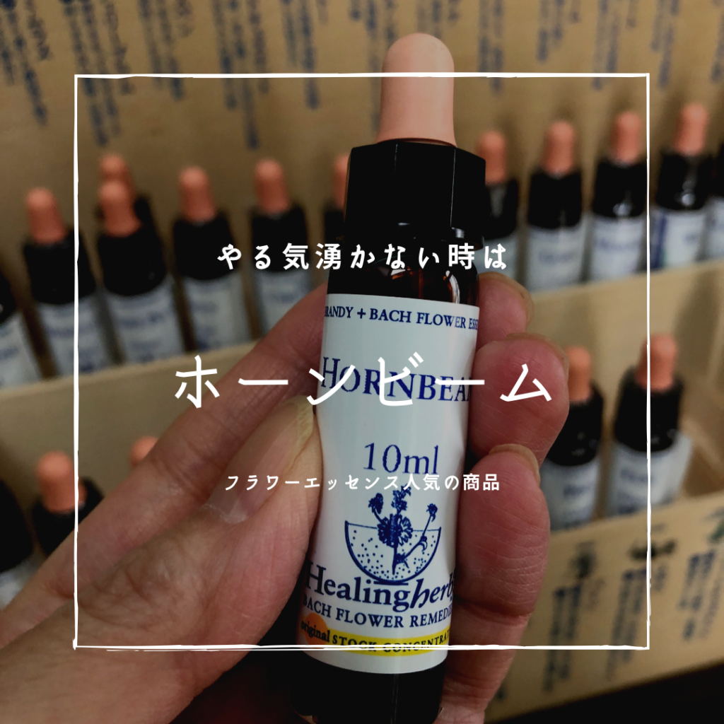 LalaMarjoram | アロマテラピー広島